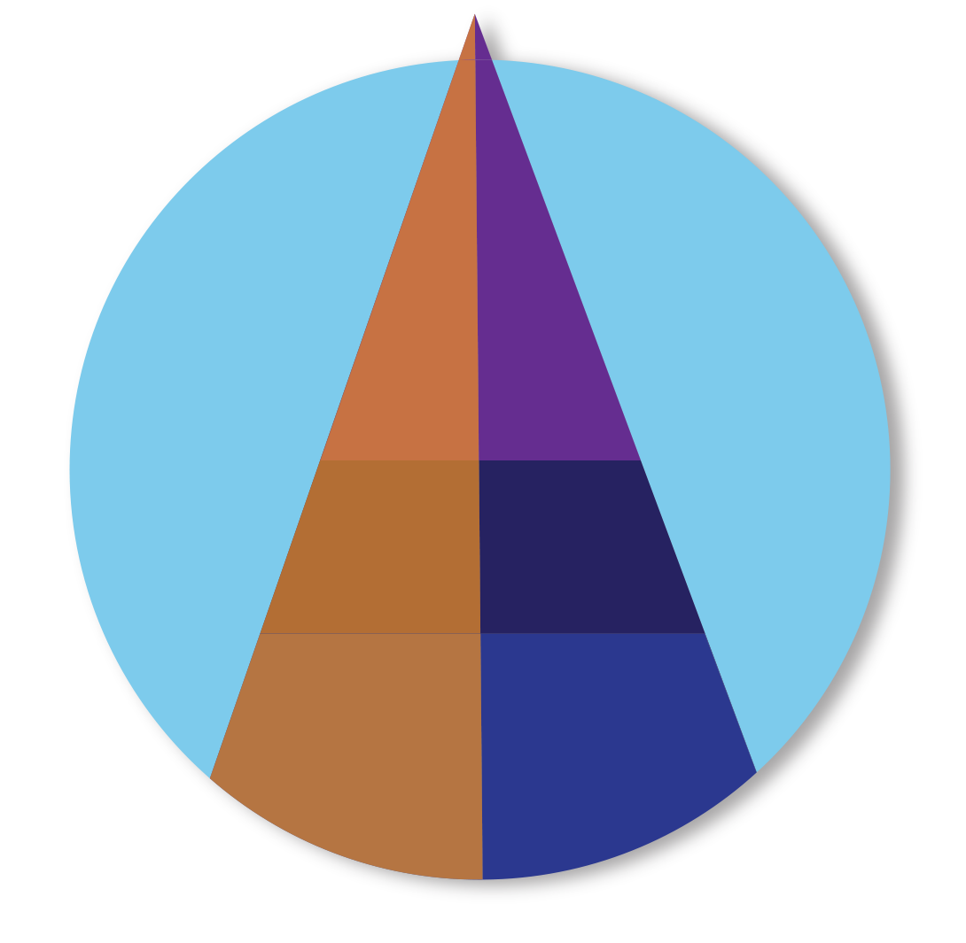 Complete the Application Form